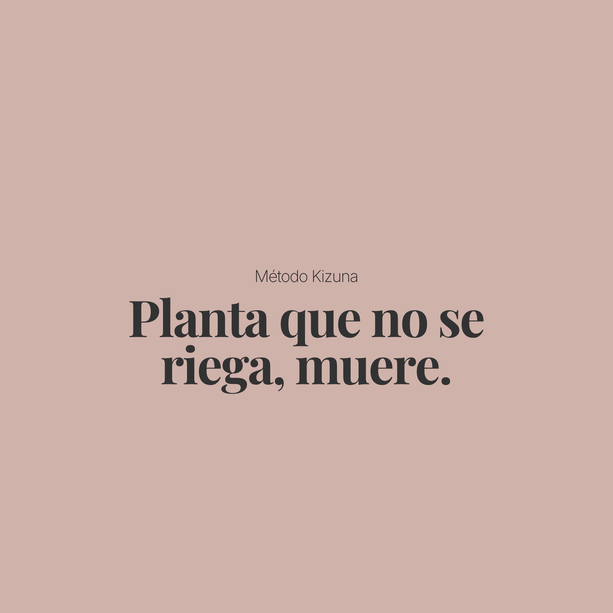 Cuando llegas a casa, ¿te ocupas igual?